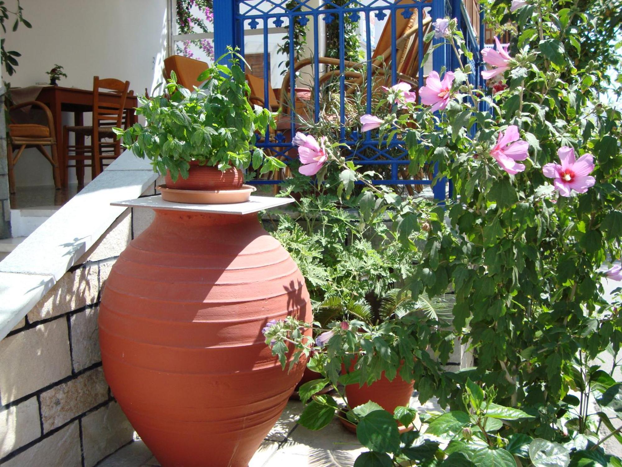 Vakhos Hotel Naxos City Luaran gambar